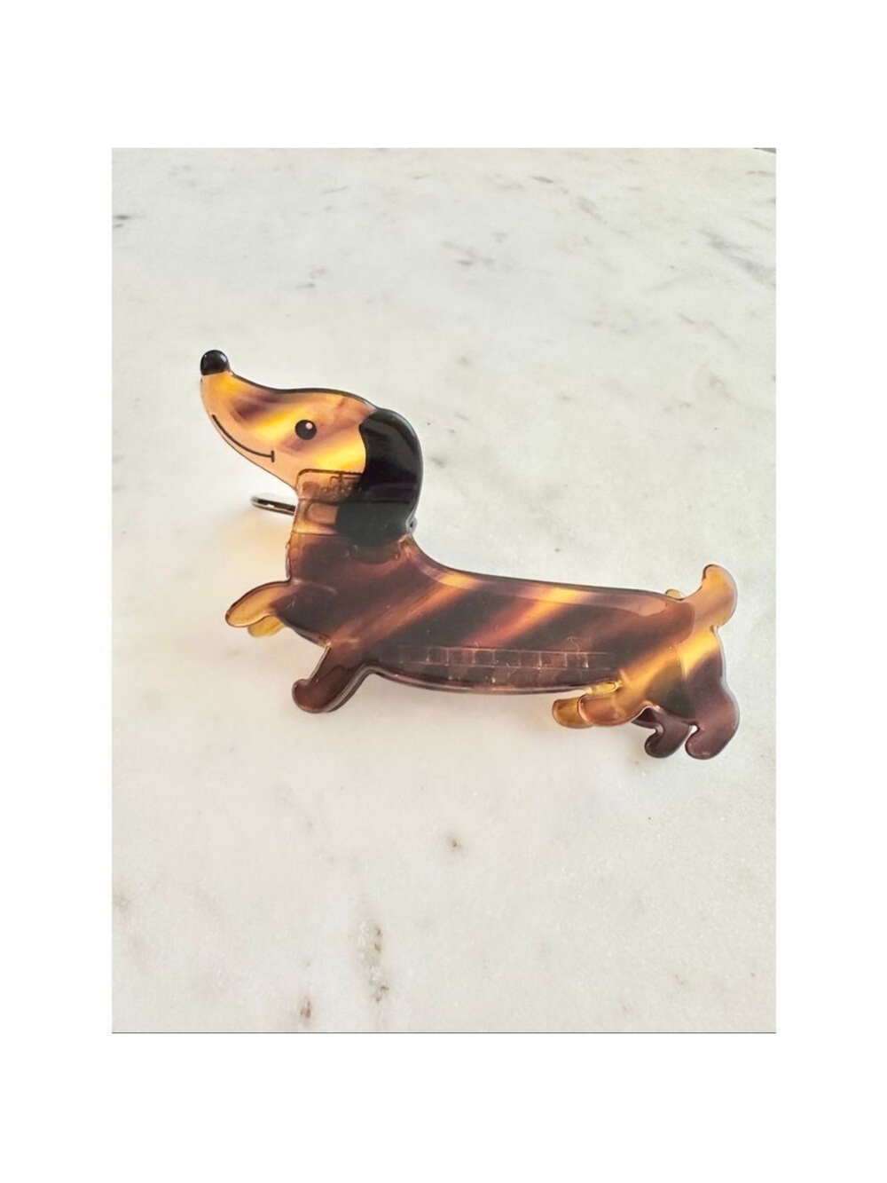 Brown and caramel dachshund hair claw